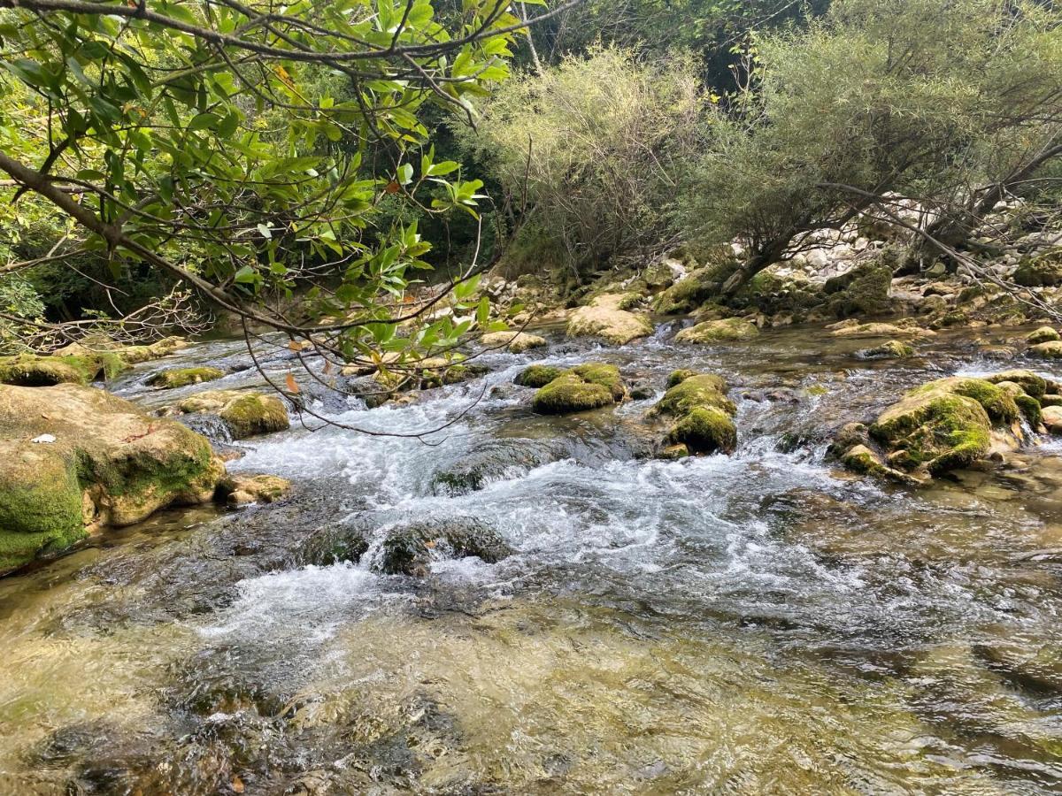 מוטורו Les Lodges De Saint Cassien 2 מראה חיצוני תמונה